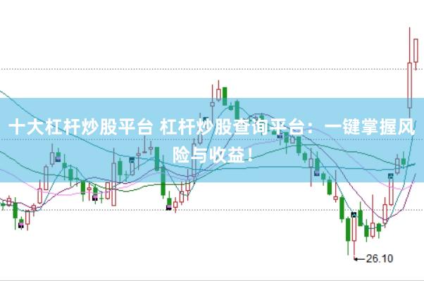 十大杠杆炒股平台 杠杆炒股查询平台：一键掌握风险与收益！