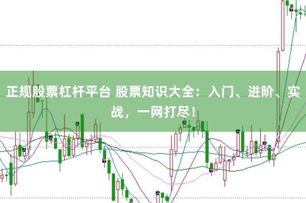 正规股票杠杆平台 股票知识大全：入门、进阶、实战，一网打尽！