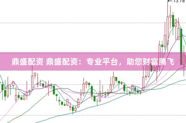 鼎盛配资 鼎盛配资：专业平台，助您财富腾飞