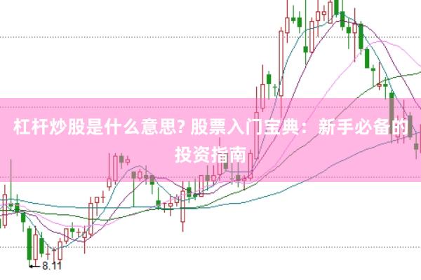 杠杆炒股是什么意思? 股票入门宝典：新手必备的投资指南