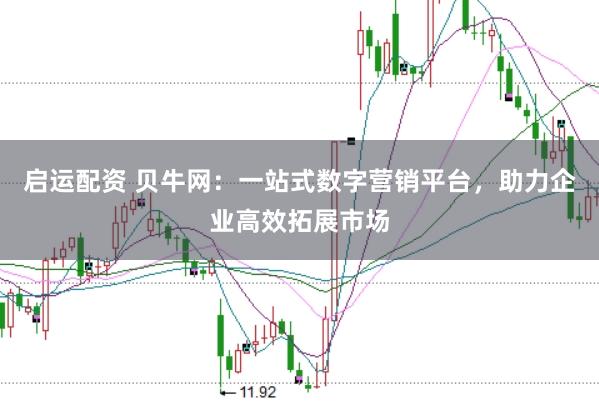 启运配资 贝牛网：一站式数字营销平台，助力企业高效拓展市场