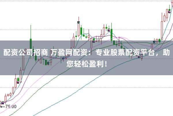 配资公司招商 万盈网配资：专业股票配资平台，助您轻松盈利！