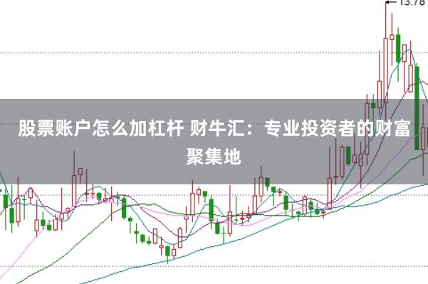 股票账户怎么加杠杆 财牛汇：专业投资者的财富聚集地