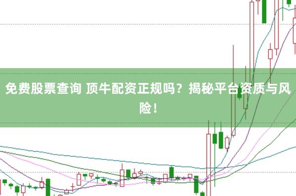 免费股票查询 顶牛配资正规吗？揭秘平台资质与风险！
