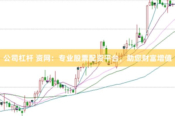 公司杠杆 资网：专业股票配资平台，助您财富增值