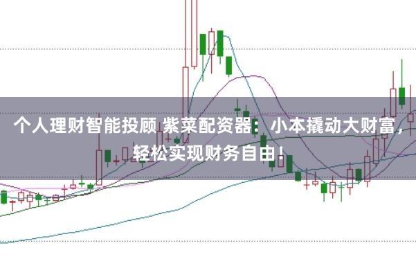 个人理财智能投顾 紫菜配资器：小本撬动大财富，轻松实现财务自由！