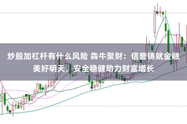 炒股加杠杆有什么风险 犇牛聚财：信誉铸就金融美好明天，安全稳健助力财富增长