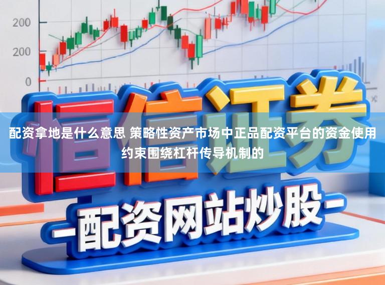 配资拿地是什么意思 策略性资产市场中正品配资平台的资金使用约束围绕杠杆传导机制的