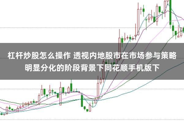 杠杆炒股怎么操作 透视内地股市在市场参与策略明显分化的阶段背景下同花顺手机版下