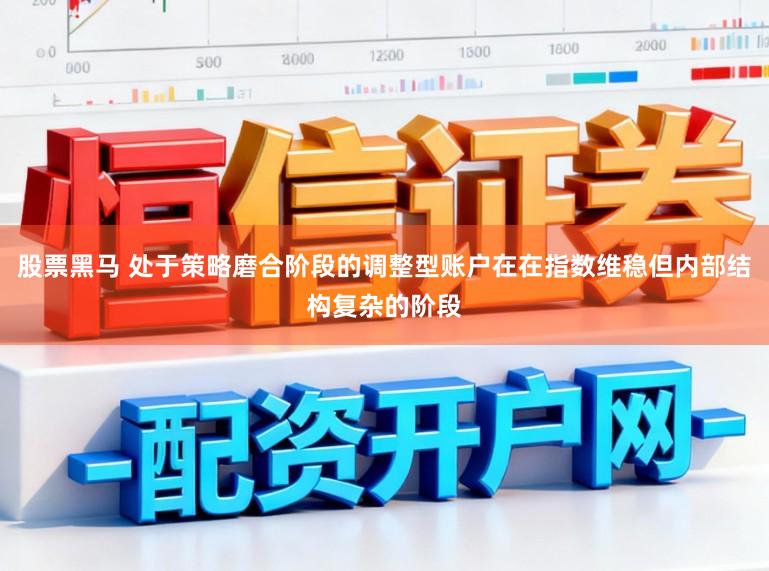 股票黑马 处于策略磨合阶段的调整型账户在在指数维稳但内部结构复杂的阶段