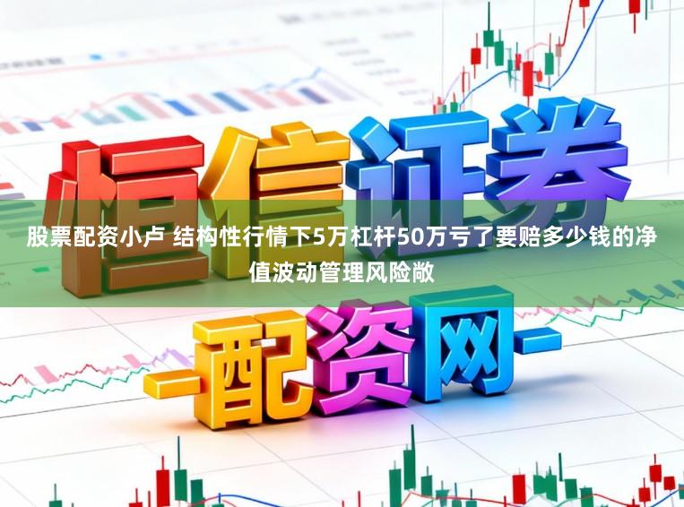 股票配资小卢 结构性行情下5万杠杆50万亏了要赔多少钱的净值波动管理风险敞