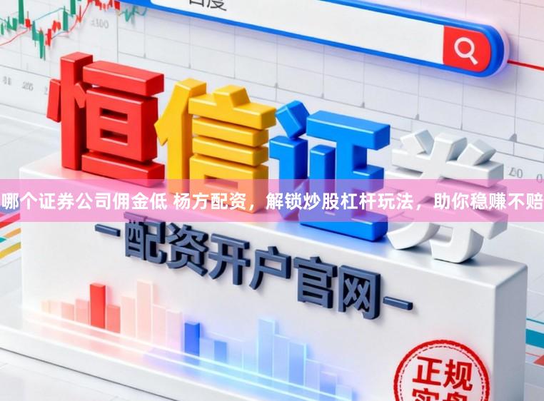 哪个证券公司佣金低 杨方配资，解锁炒股杠杆玩法，助你稳赚不赔