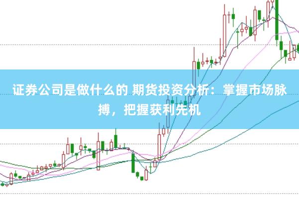 证券公司是做什么的 期货投资分析:掌握市场脉搏,把握获利先机